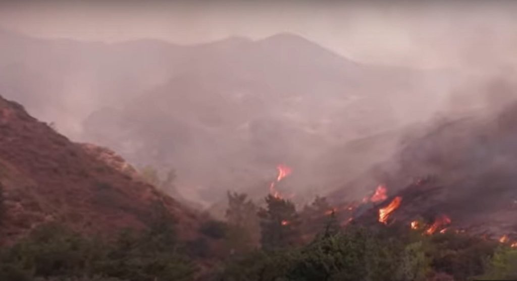 Peste 8.500 de incendii de vegetație în România între 1 iunie și 31 august, cu creșteri semnificative în vestul și sud-estul țării, și județe unde numărul de incendii a scăzut