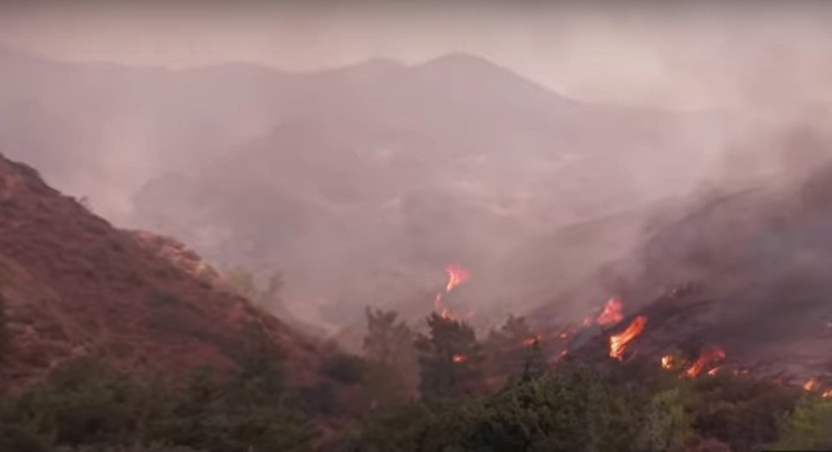Peste 8.500 de incendii de vegetație în România între 1 iunie și 31 august, cu creșteri semnificative în vestul și sud-estul țării, și județe unde numărul de incendii a scăzut