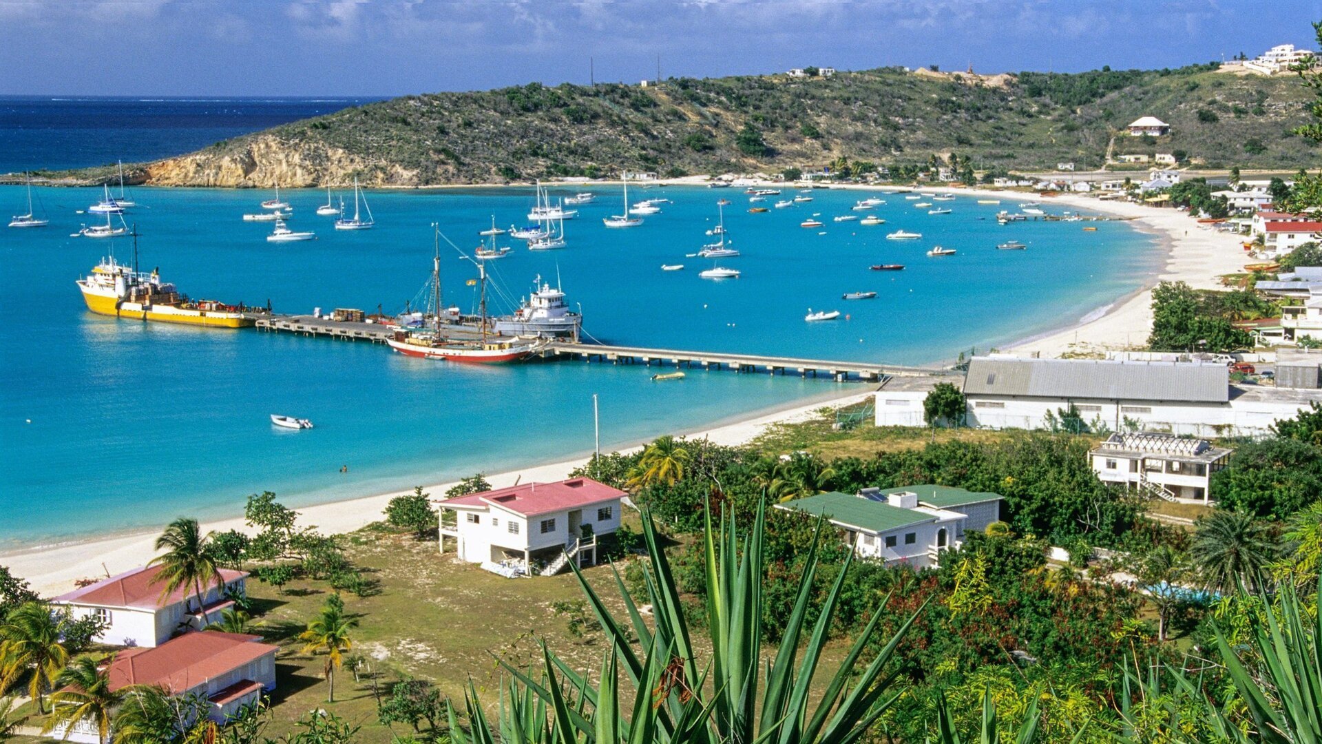 [ad_1] Insula Anguilla, cunoscută pentru plajele sale albe și turismul de lux, a devenit recent un centru de interes internațional din cauza unuia dintre cele mai surprinzătoare venituri generate de domeniile de internet