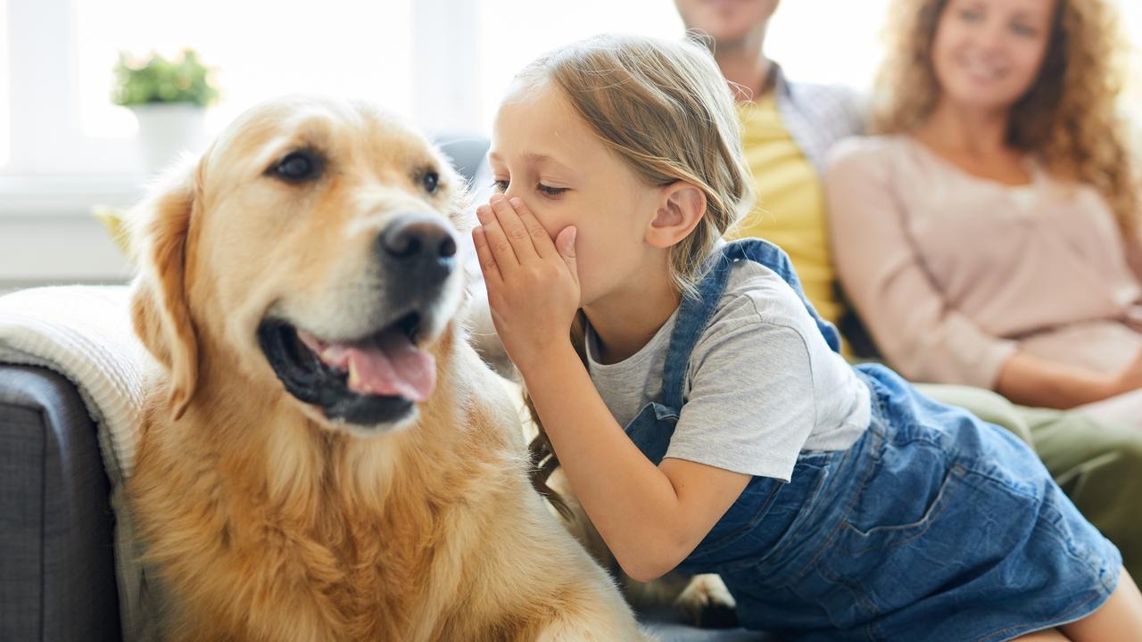 inteligenta-articiala-ne-ajuta-sa-vorbim-cu-animalele.jpg