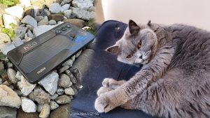 Evaluare ZTE Nubia Neo 3 GT: performanțe și caracteristici