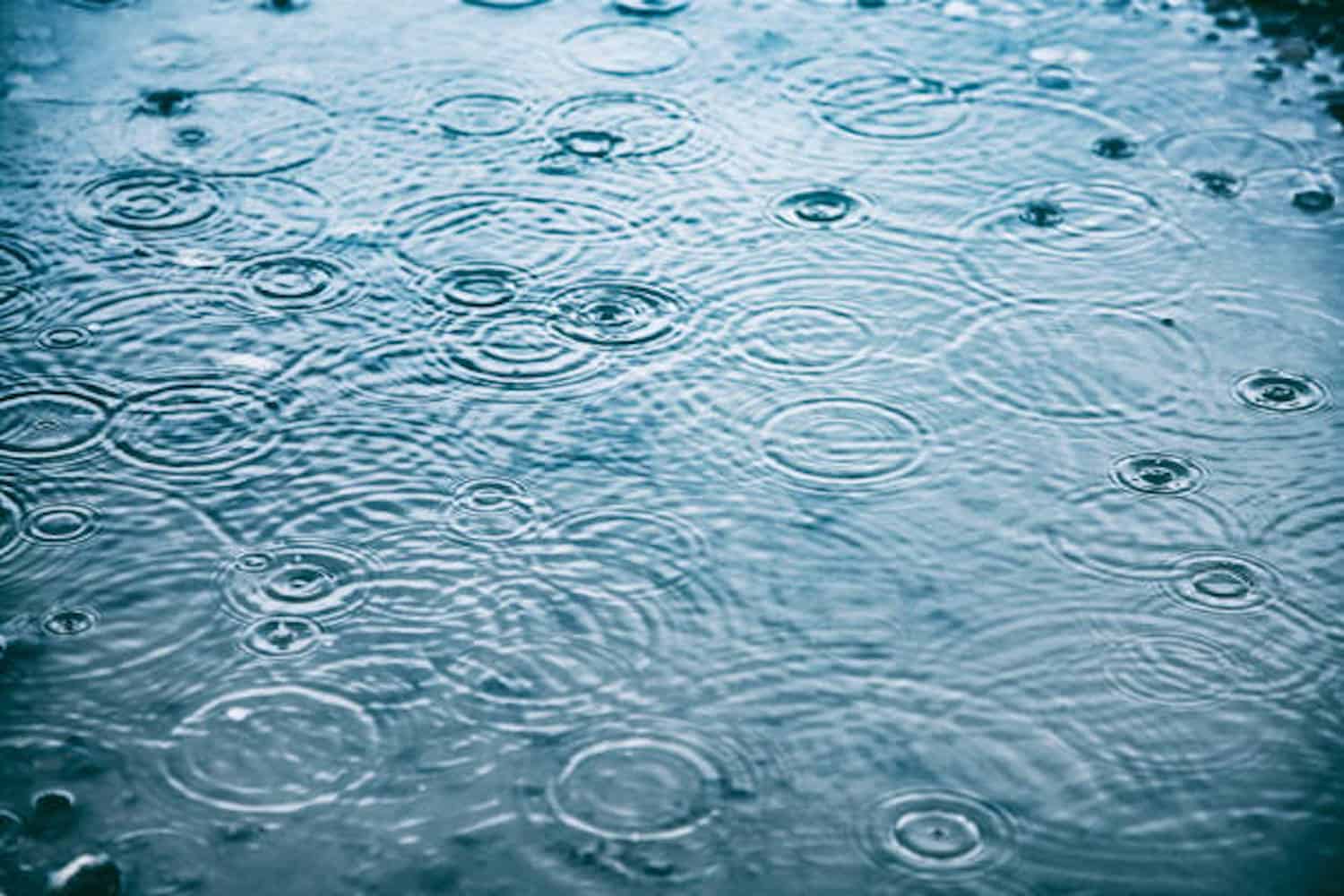 „Sfârșit de săptămână ploios în perspectivă? Iată ce prognoză meteo este așteptată în provincia Gauteng”