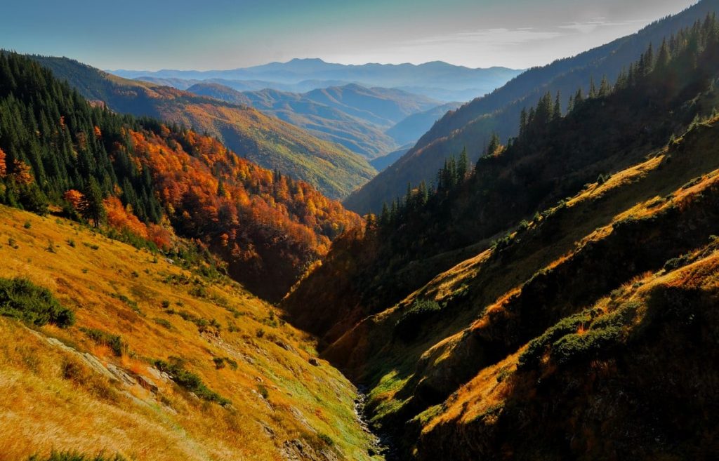 muntii-maramuresului.jpg