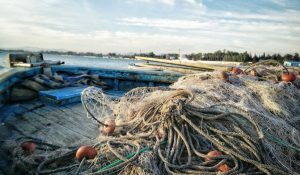 Acord global pentru subvenționarea pescuitului, aplicabil începând după ani de negocieri intense