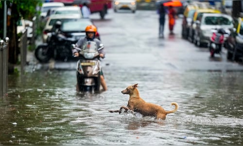 Mumbai se asteapta sa fie lovit de ploi extrem de puternice in perioada 27-29 septembrie.