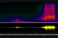 seismica.png