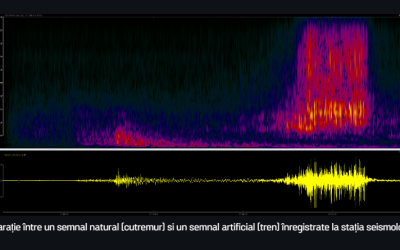 seismica.png