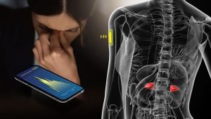 Google determină nivelul tău de stres folosind AI inovator ce ar putea irita mai mult