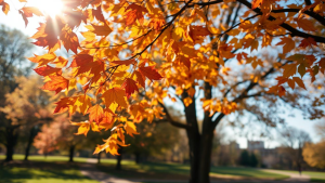 Toamnă caldă și secetoasă