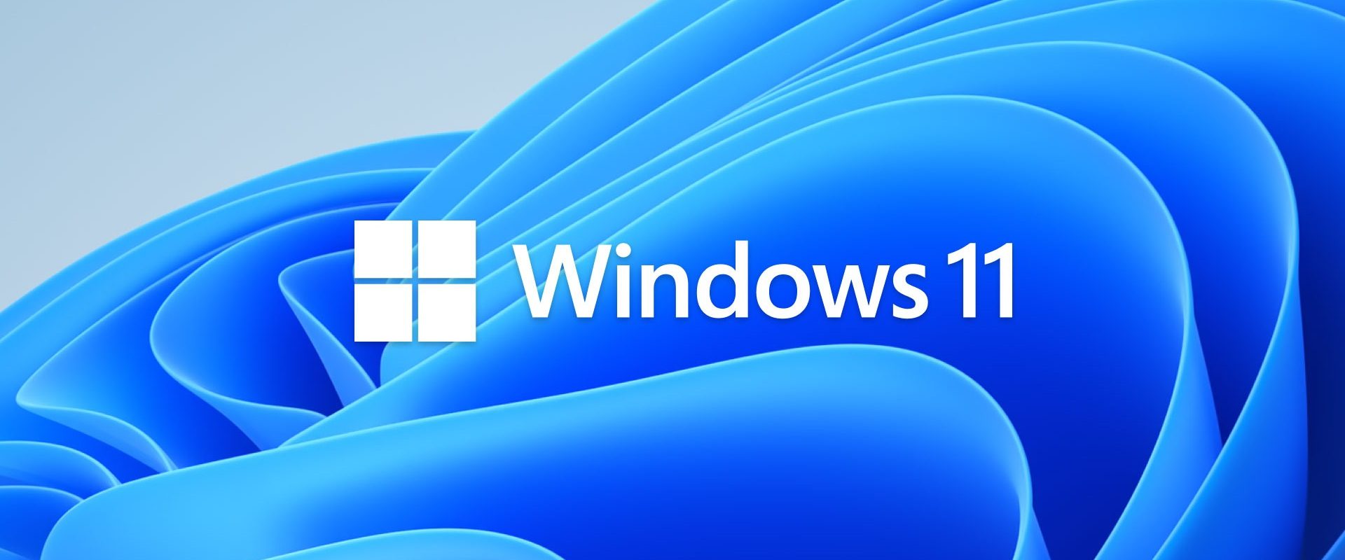 windows-11.jpg