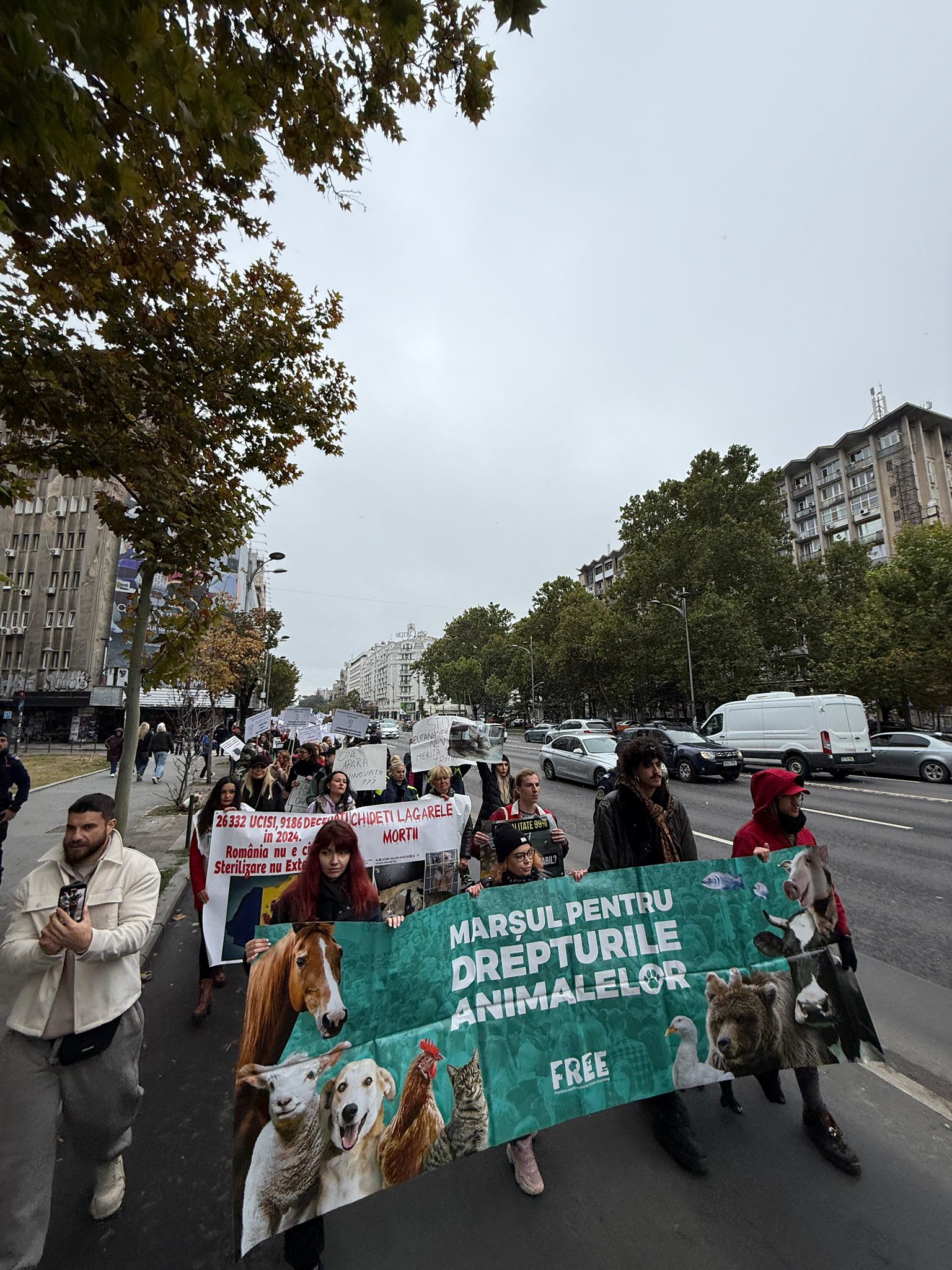 Deputatul Andrei Baciu participă la Marșul pentru Drepturile Animalelor: „Un pas spre o lume mai bună pentru toți”