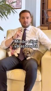 „Primarul Stelian Bujduveanu: Peste 2000 de animale așteaptă adopția de Ziua Internațională a Animalelor”