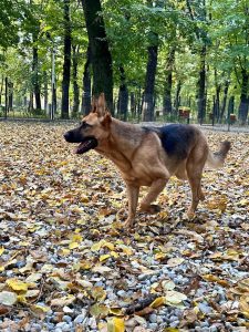 Deputatul Andrei Baciu își întreabă următorii: Voi ce faceți weekend-ul acesta?