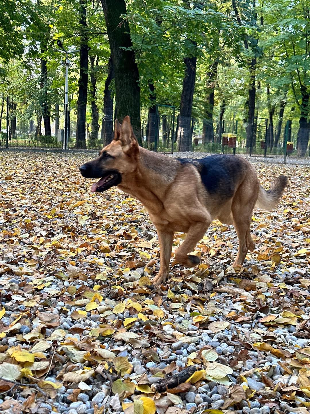 Deputatul Andrei Baciu își întreabă următorii: Voi ce faceți weekend-ul acesta?