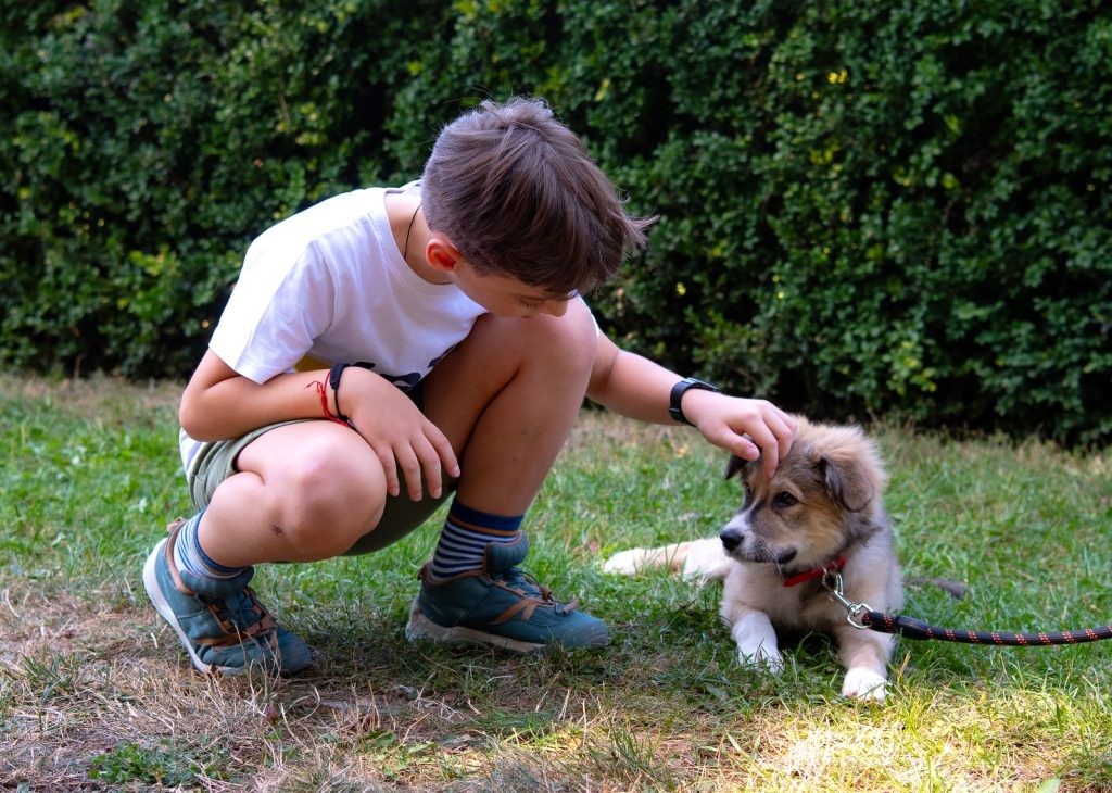 [ad_1] Cel mai recent eveniment de adopție în aer liber, organizat de ASPA București, se va desfășura sâmbătă, 25 octombrie, la Hornback Balotești