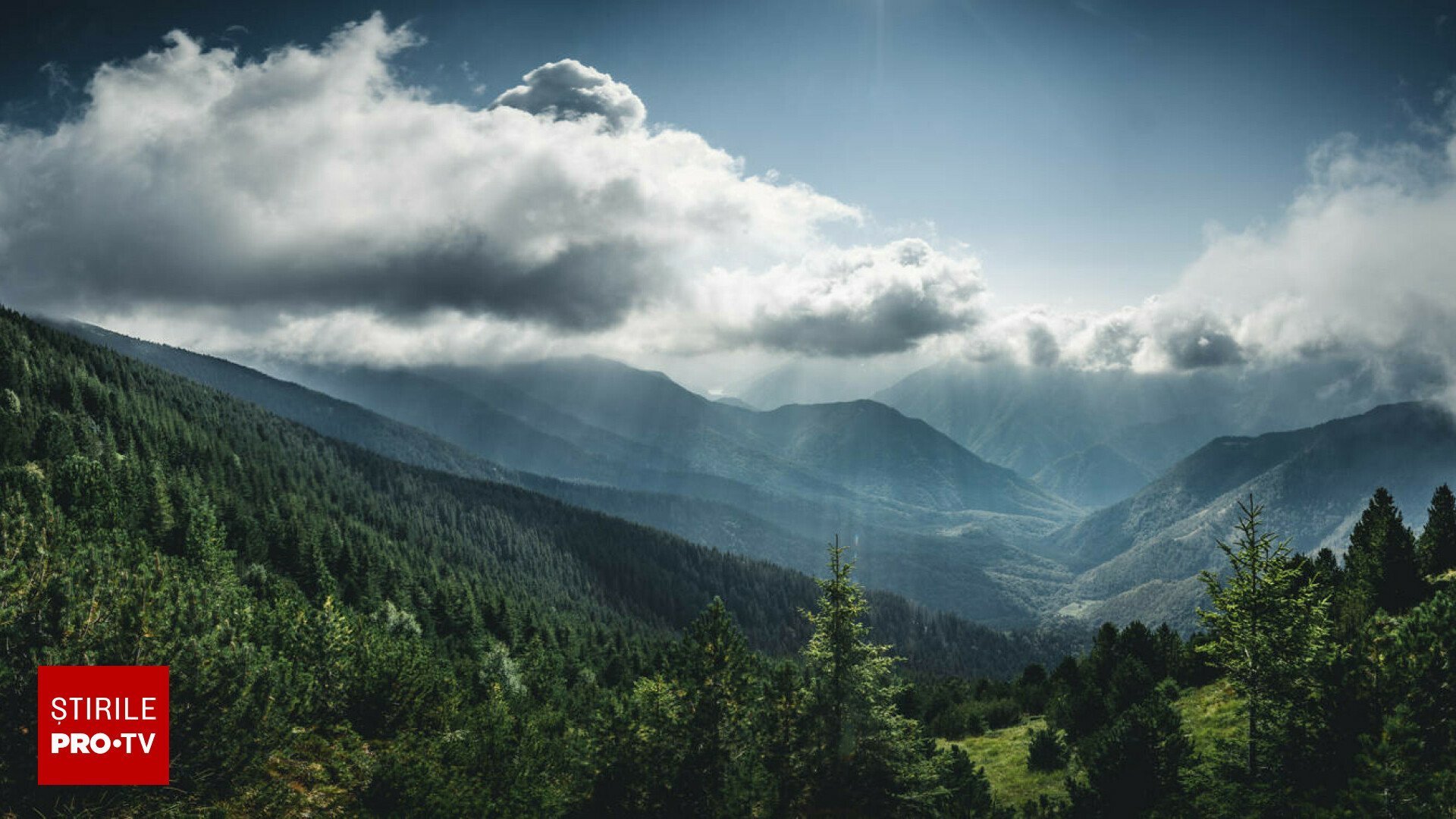 Statul protejează doar până la 1,6% din pădurile țării, în timp ce primarii susțin că locuitorii continuă să se bazeze pe lemn