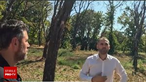 Bucureștiul pierde spațiile verzi din cauza lipsei implicării autorităților.