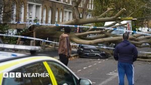 Cum primesc furtunile nume?