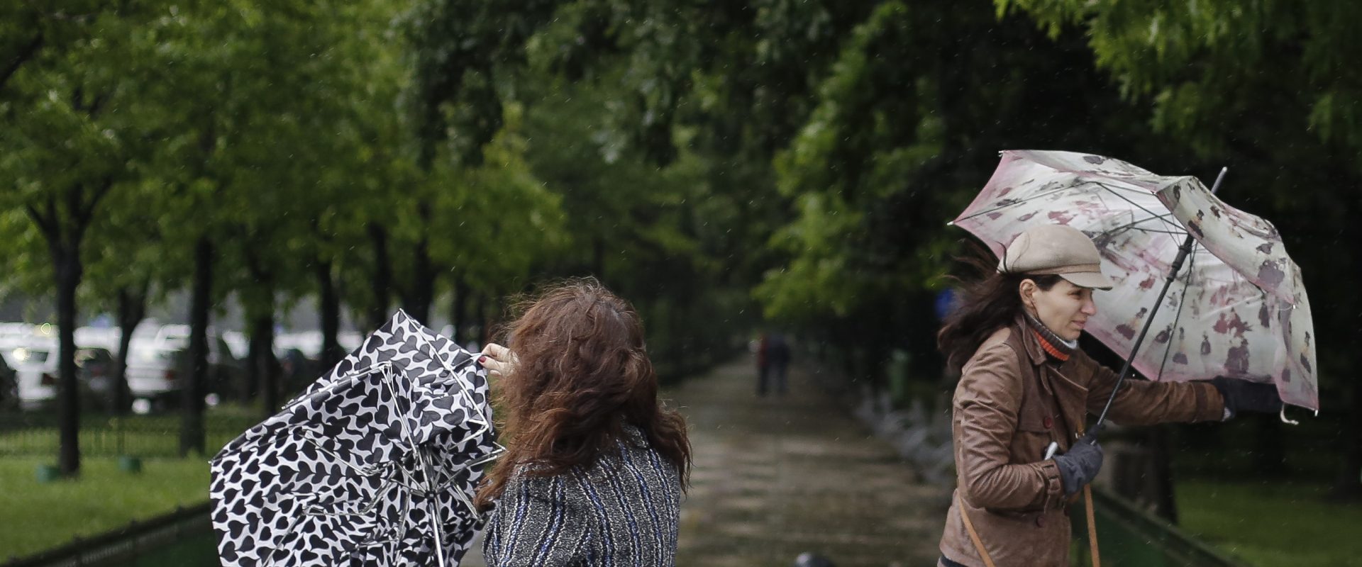 Vremea se schimbă radical. Șase avertizări meteo, emise azi. Coduri galbene și portocalii de ploi, vijelii și ninsori abundente – HARTĂ