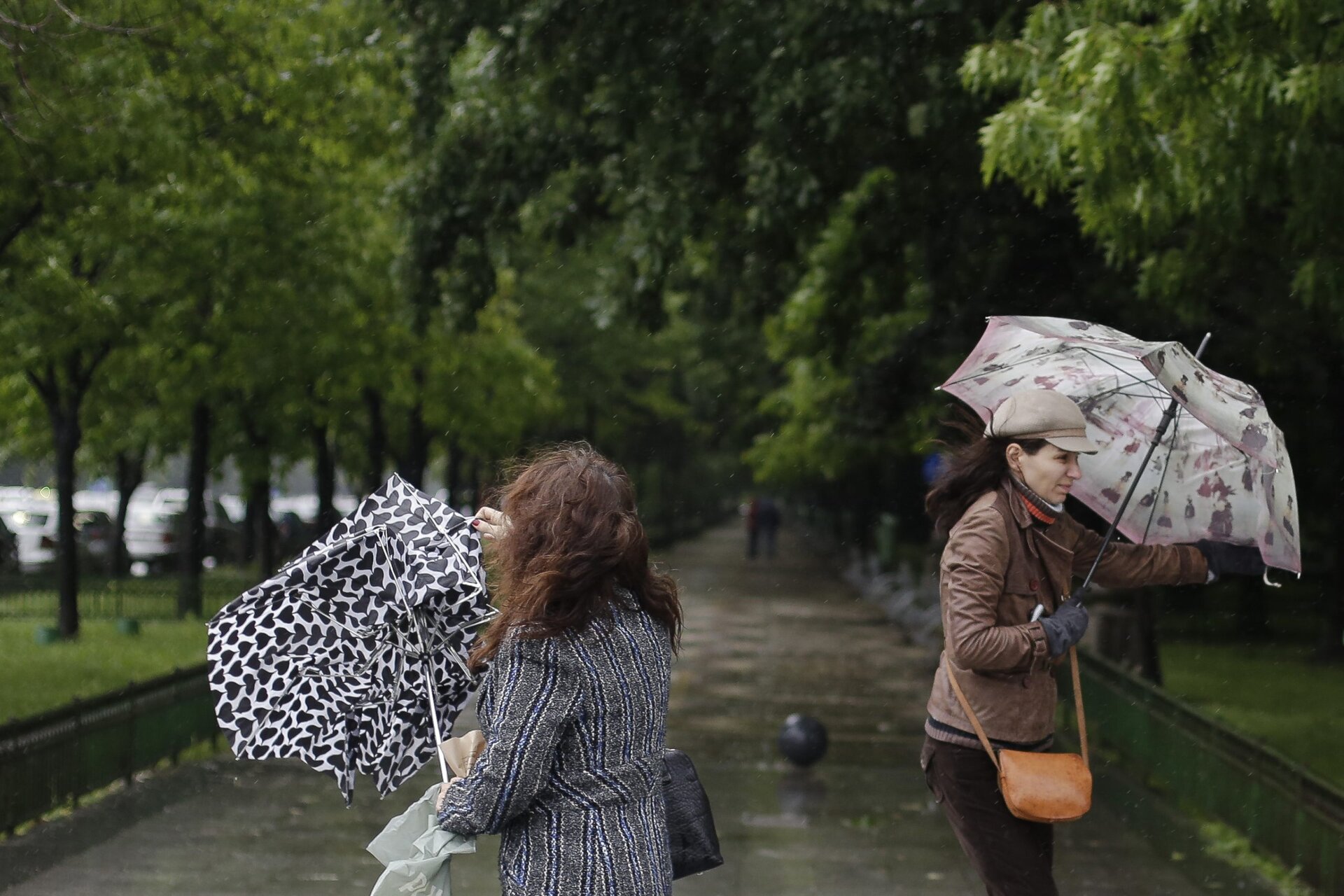 Avertizări meteo: coduri galbene și portocalii de ploi și ninsori.