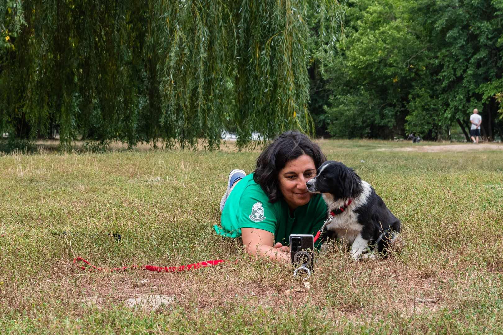 [ad_1] În România, adăposturile de animale sunt pline de câini și pisici care așteaptă o familie iubitoare pentru a-și găsi un nou cămin