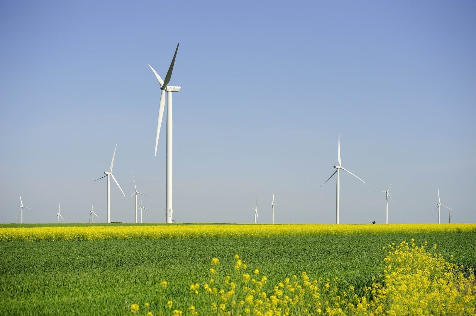 Sursele de energie regenerabilă au devenit pentru prima dată principala sursă mondială de electricitate, depășind carbunele