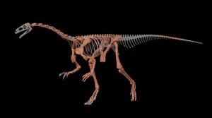 Descoperire în Argentina: unul dintre cele mai vechi dinozauri, datând din urmă cu aproximativ 230 de milioane de ani
