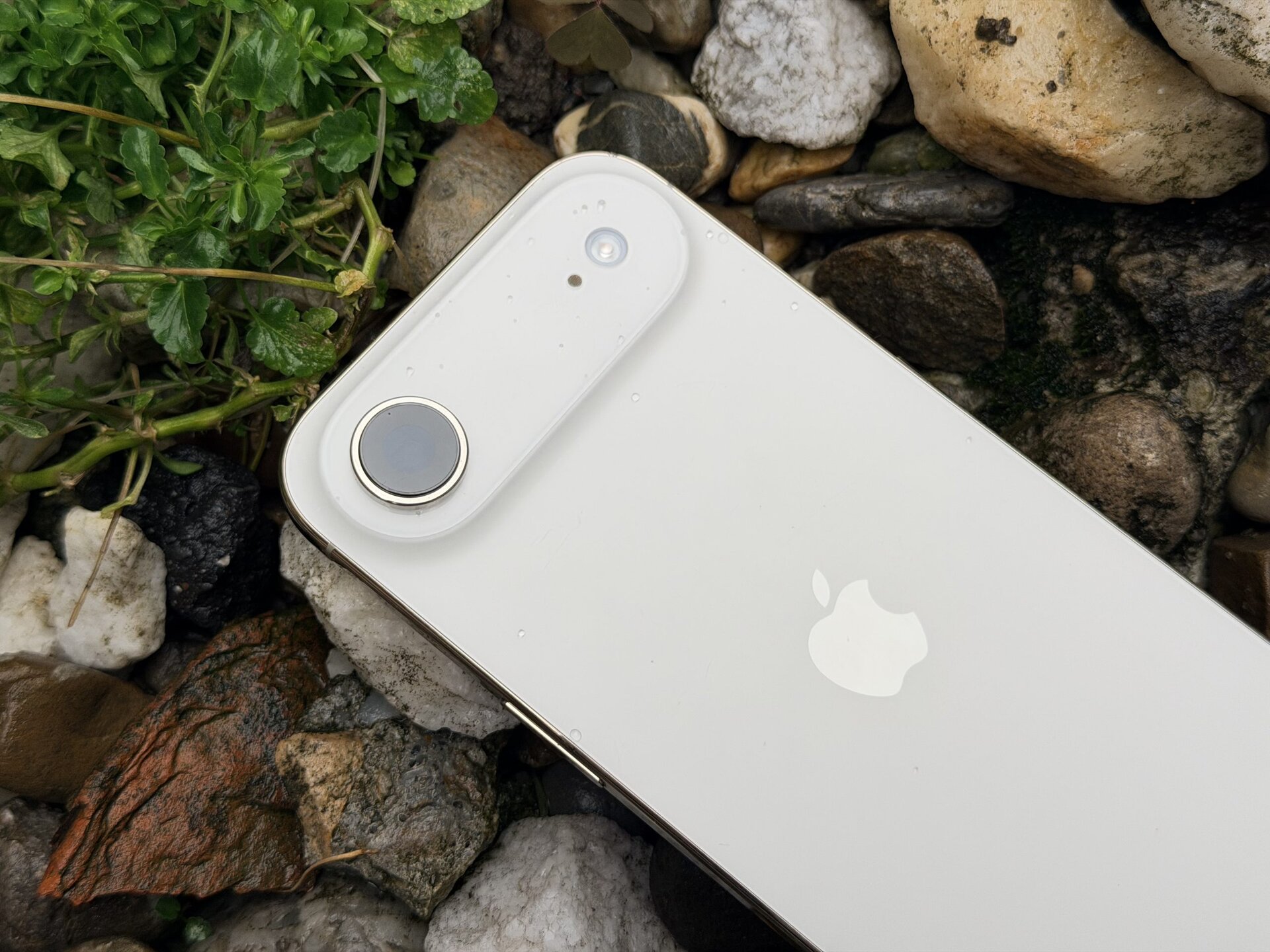 Momentul și modul potrivit pentru a o realiza