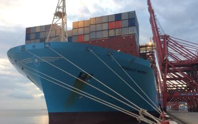MaerskNingboIMOflckr.jpg