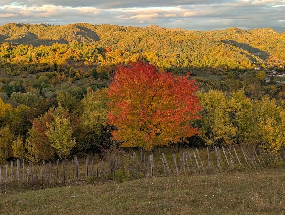 PXL_20251012_151419269.jpg