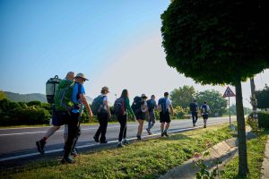 Via Transilvanica, laureată la Berlin cu EcoTrophea 2025: „Drumul care unește”, un proiect inițiat în 2018 de Asociația Tășuleasa Social din Bistrița-Năsăud, un traseu turistic de 1.400 km care traversează România pe diagonală