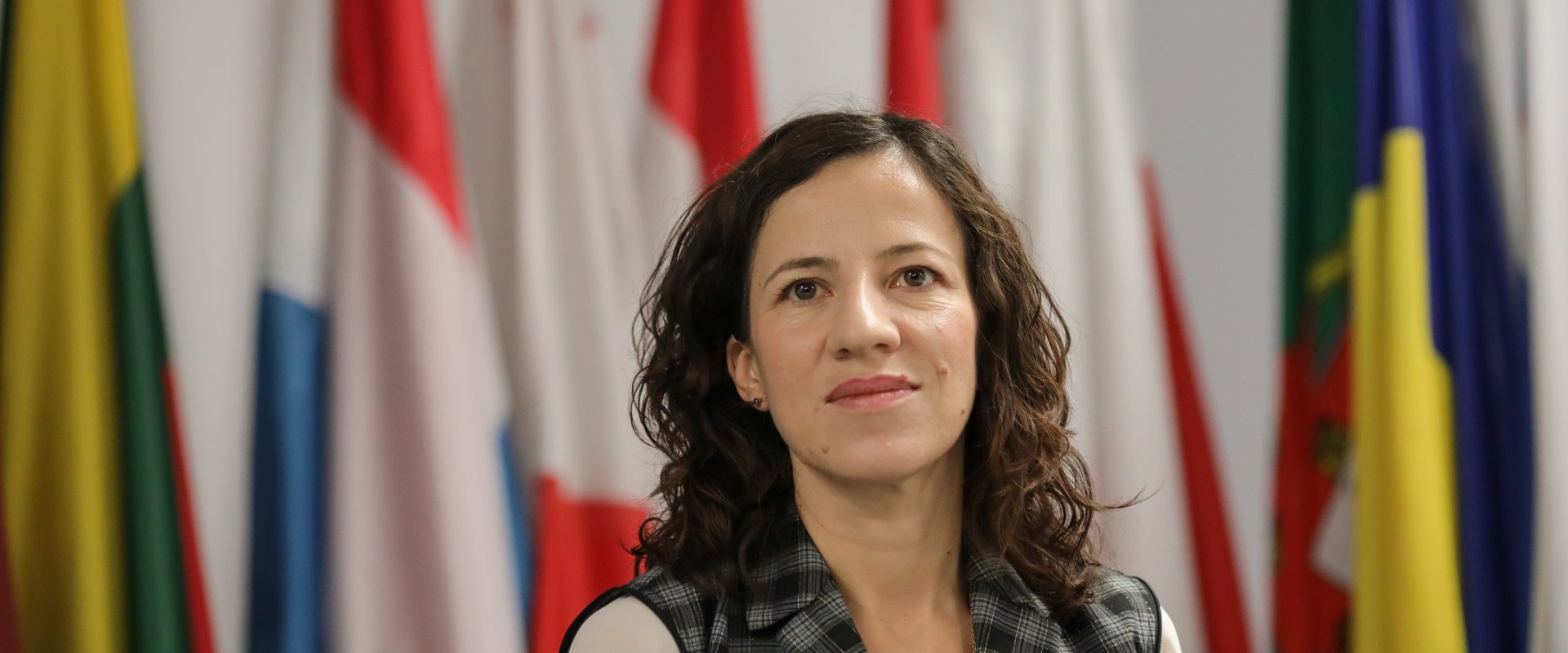 Roxana-Minzatu.jpg