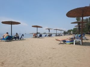 Deputat PSD Constanța: Începând din vara viitoare, primăriile vor putea prelua sectoare de plajă pentru a le face publice, fără posibilitatea desfășurării activităților comerciale, fiind disponibile pentru evenimente culturale și sportive