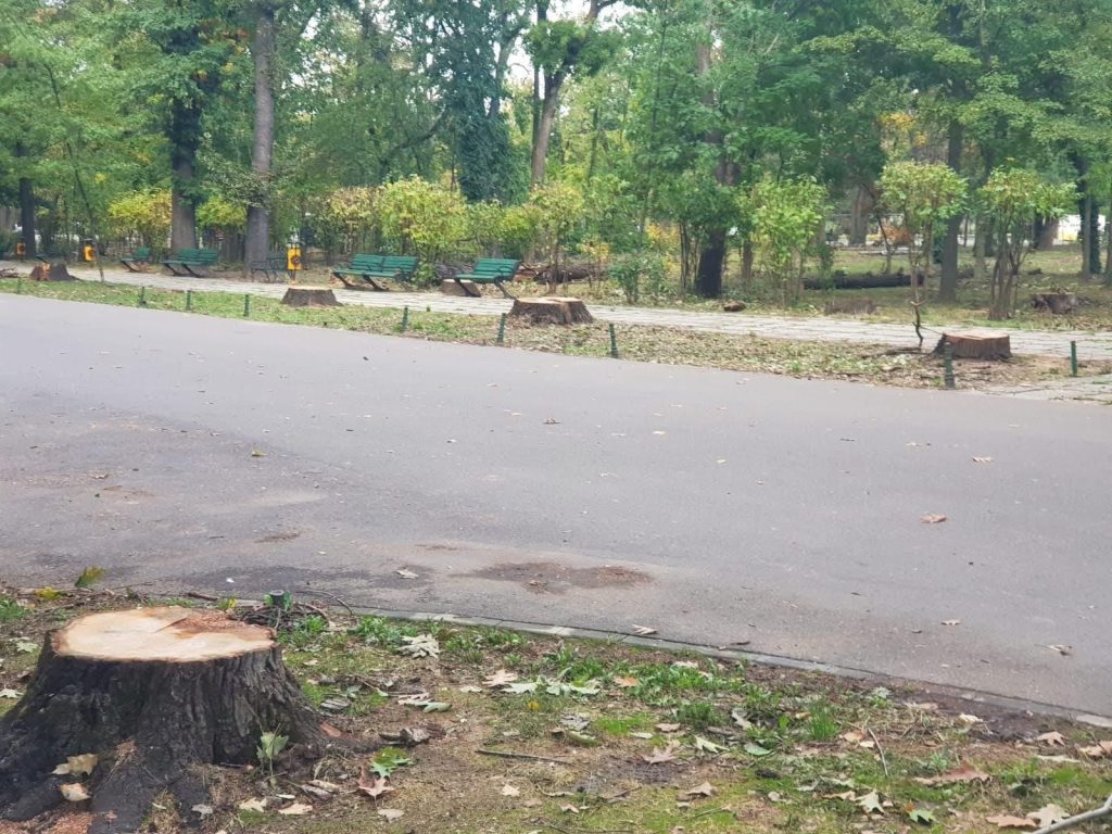 Vlad Gheorghe declara ca va actiona in justitie, urmand sa