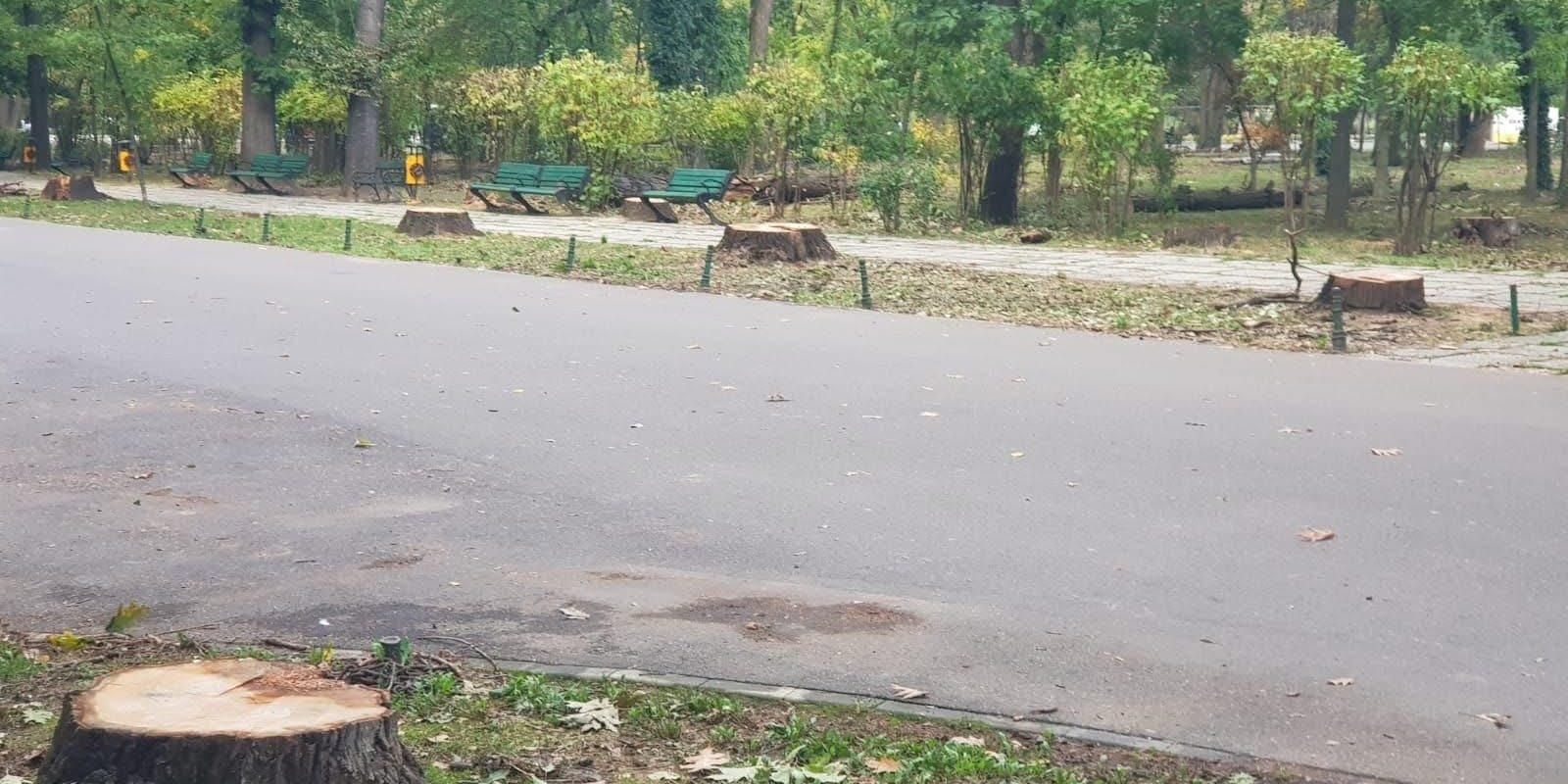 Vlad Gheorghe declara ca va actiona in justitie, urmand sa
