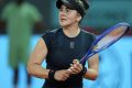 andreescu-imago9.jpg
