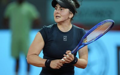 andreescu-imago9.jpg