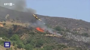 Doi militari au pierdut viața în Italia după prăbușirea unui avion de pregătire militară în stațiunea balneară Sabaudia