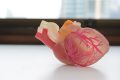 bioprintare-3D.jpg