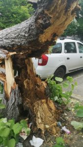 Alertă de vânt intens în București și temperaturi maxime de doar 9 grade Celsius