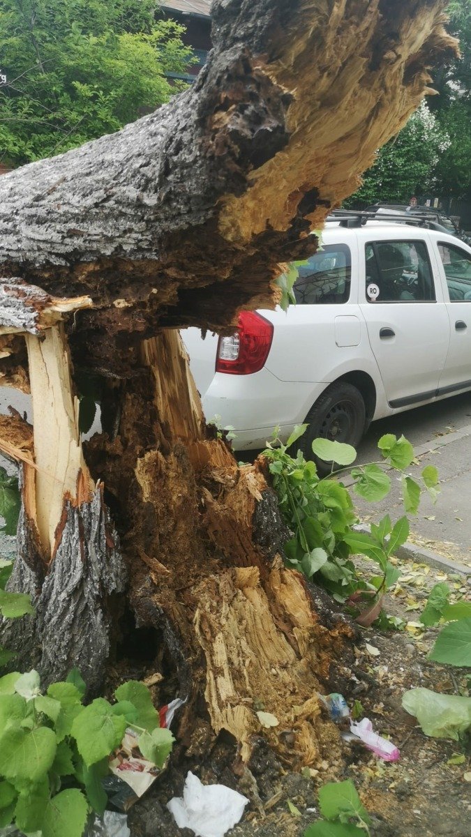 [ad_1] Meteorologii au emis o alertă de cod portocaliu de vânt intens pentru București, valabilă din seara precedentă și până în această dimineață la ora 10:00