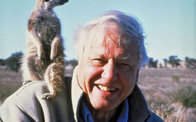 david-attenborough.jpg