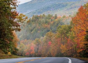 Nopți reci aduc senzația toamnei clasice