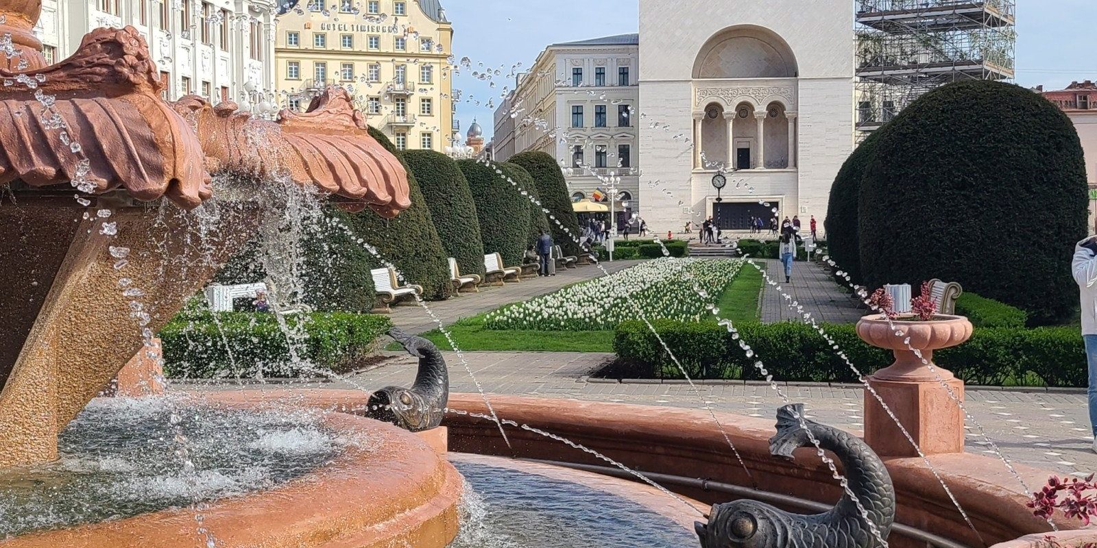 fantana-cu-pesti-Timisoara.jpg