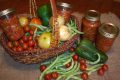 harvest-14417-640.jpg