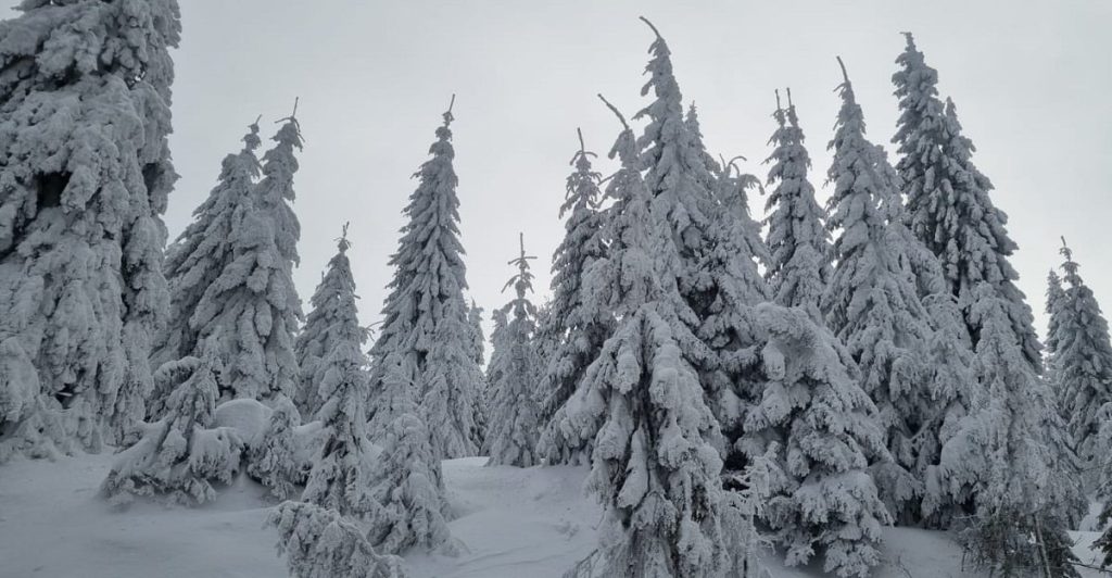 Cantitate record de zăpadă la Vârful Omu: aproape 50 de centimetri, cel mai mare strat înregistrat în zona montană; 15 centimetri la Bâlea Lac