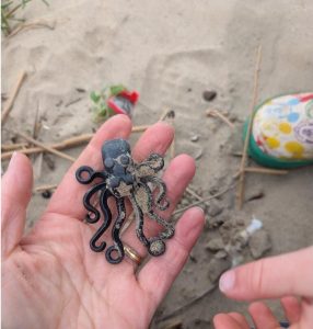 De la pasiune la cauză: Oameni care caută piese LEGO pierdute în ocean pentru a crește conștientizarea poluării plastice