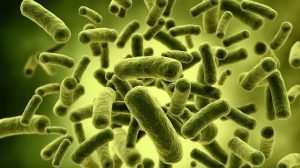 Unul dintre câștigătorii Premiului Nobel pentru Medicină din 2025 nu a putut fi contactat după o excursie în natură