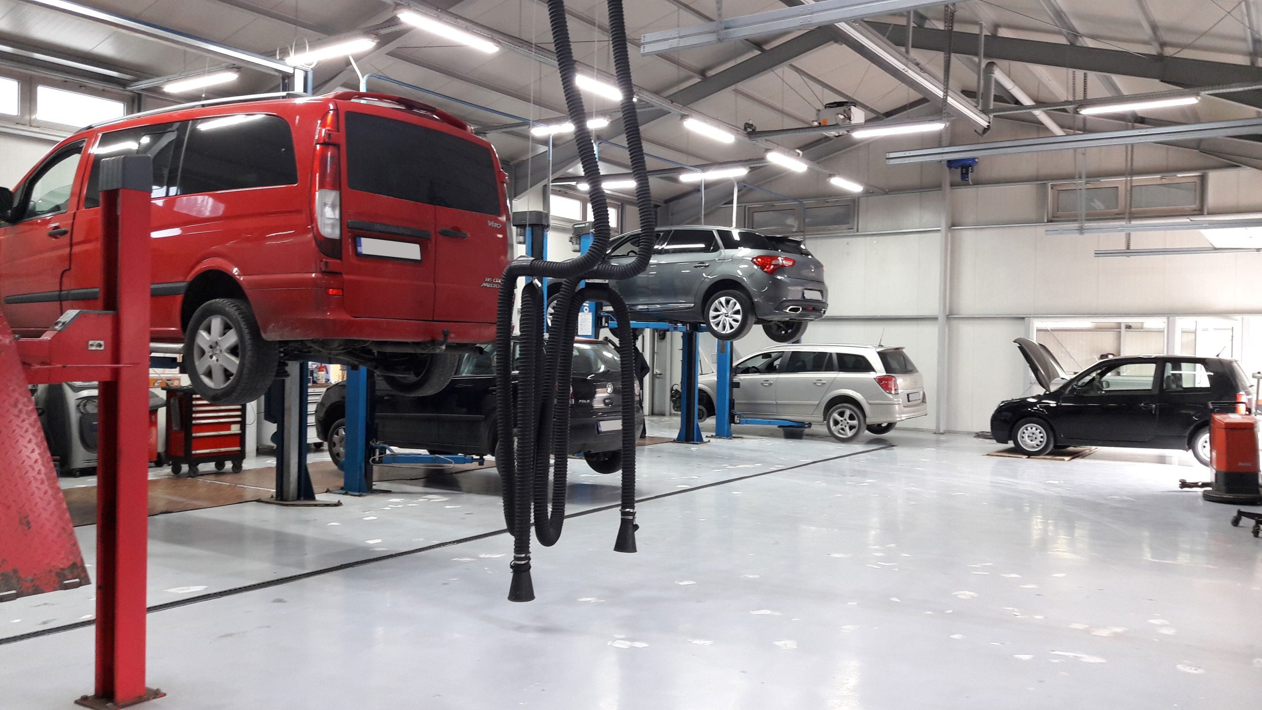 [ad_1] O femeie din New York a devenit virală pe internet după ce a descoperit motivul neașteptat al unui zgomot bizar din mașina sa, un incident care a pus în dificultate chiar și mecanicii profesioniști