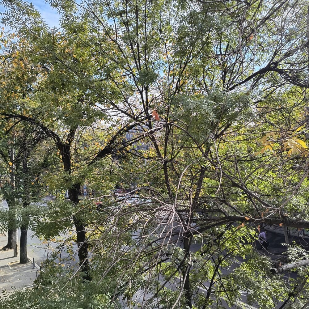 [ad_1] Vremea în Capitală va rămâne închisă și mai răcoroasă joi și vineri, însă se așteaptă o îmbunătățire în weekend